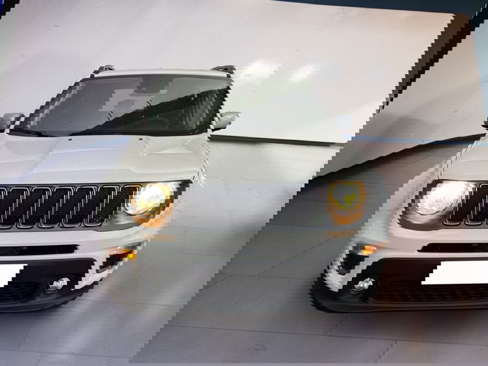 Jeep Renegade usata a Torino