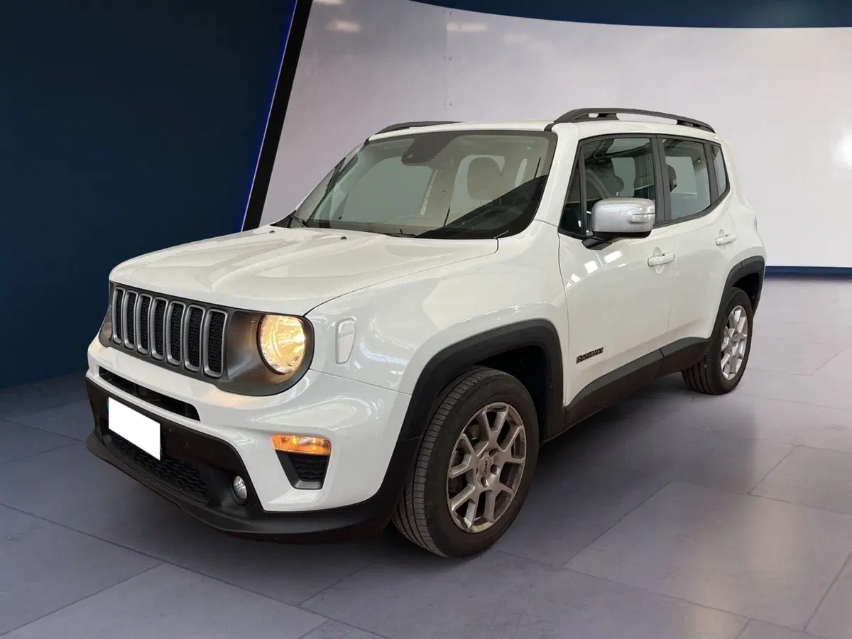 Jeep Renegade usata a Torino (2)