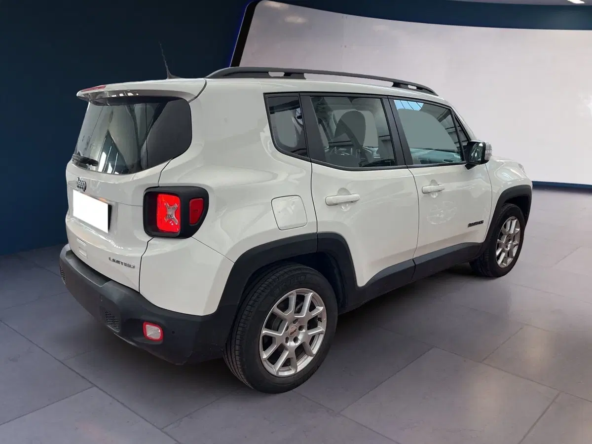 Jeep Renegade usata a Torino (3)