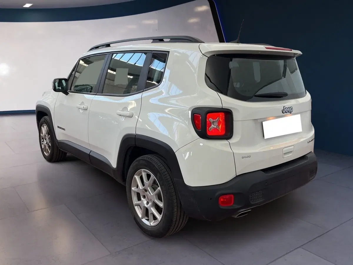 Jeep Renegade usata a Torino (5)