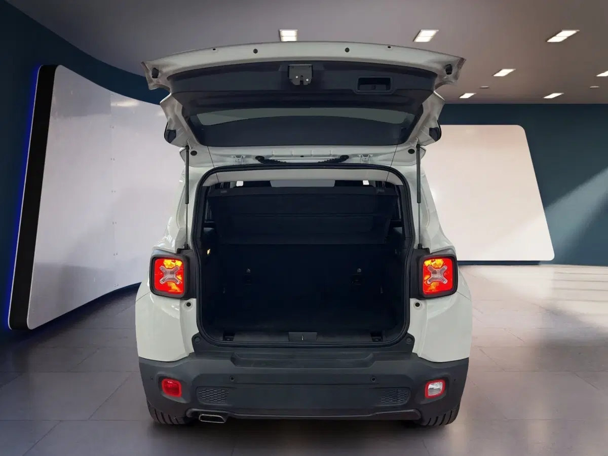 Jeep Renegade usata a Torino (6)