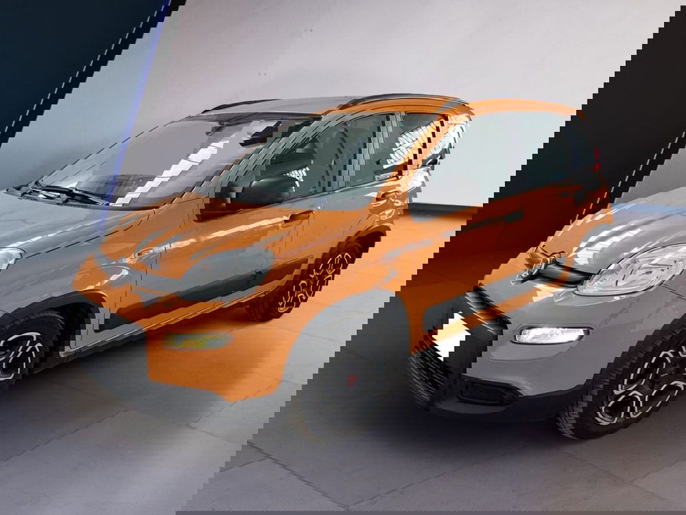 Fiat Panda usata a Torino (2)