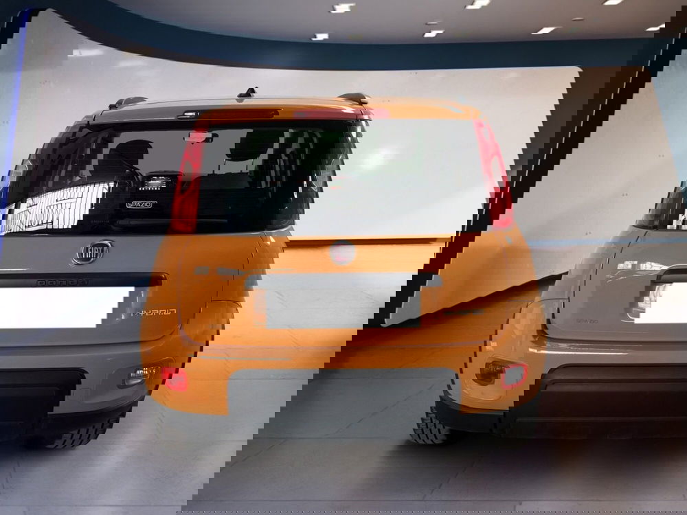 Fiat Panda usata a Torino (5)