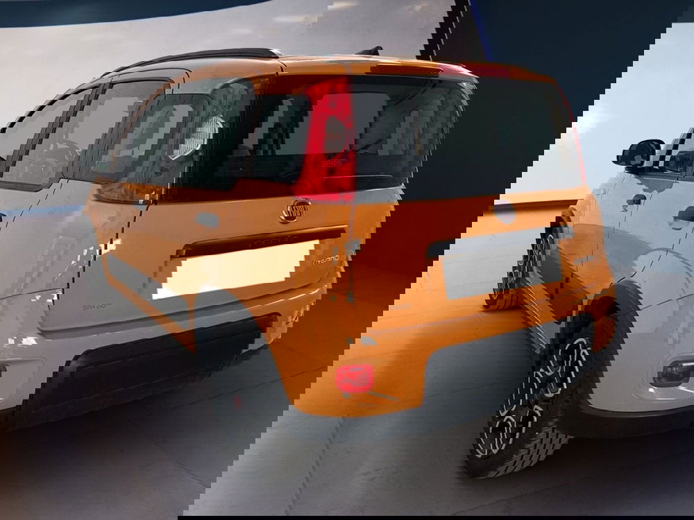 Fiat Panda usata a Torino (6)