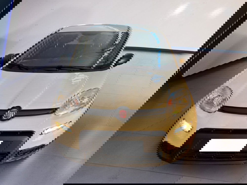 Fiat Panda Cross usata a Torino