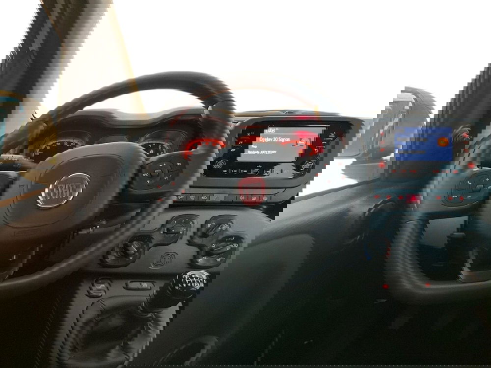 Fiat Panda Cross usata a Torino (10)