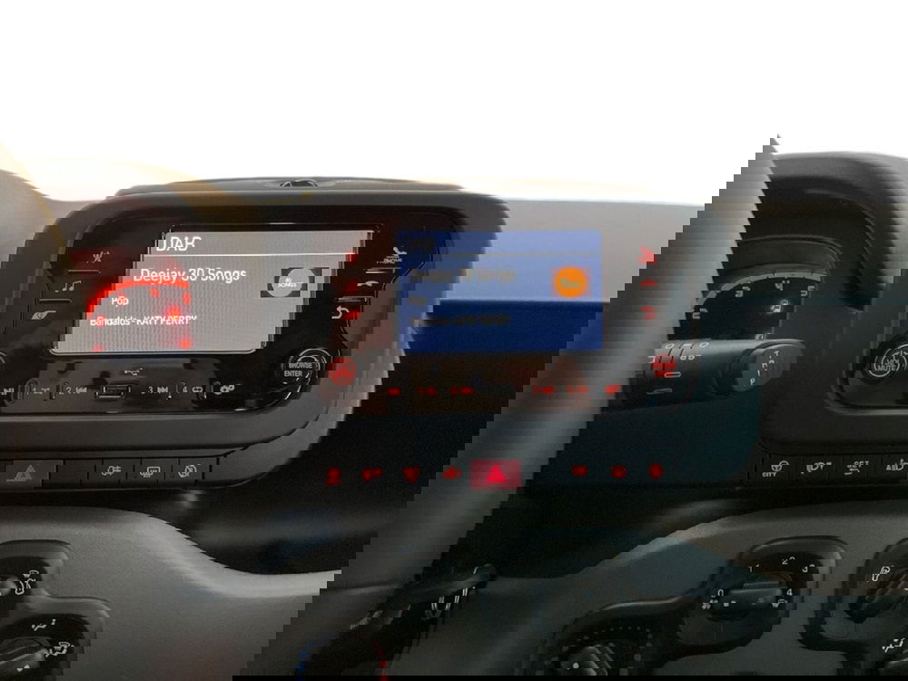 Fiat Panda Cross usata a Torino (11)