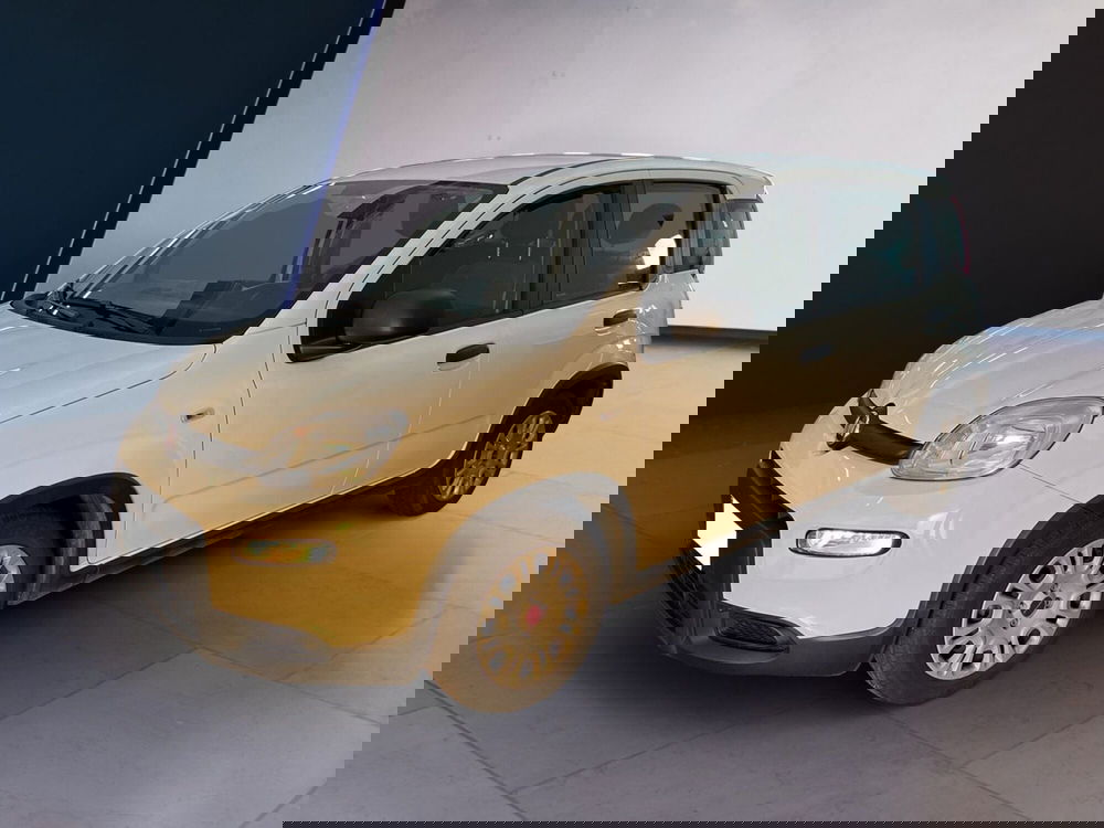 Fiat Panda Cross usata a Torino (2)