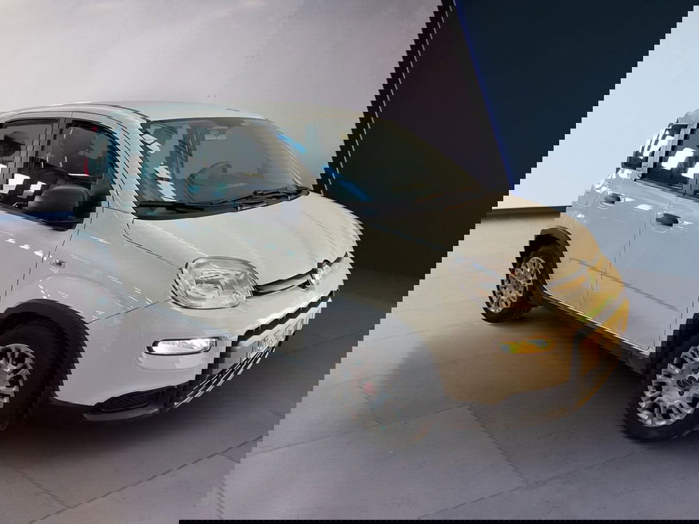 Fiat Panda Cross usata a Torino (3)