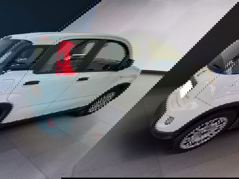 Fiat Panda Cross usata a Torino (4)