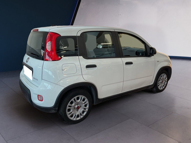 Fiat Panda Cross usata a Torino (4)