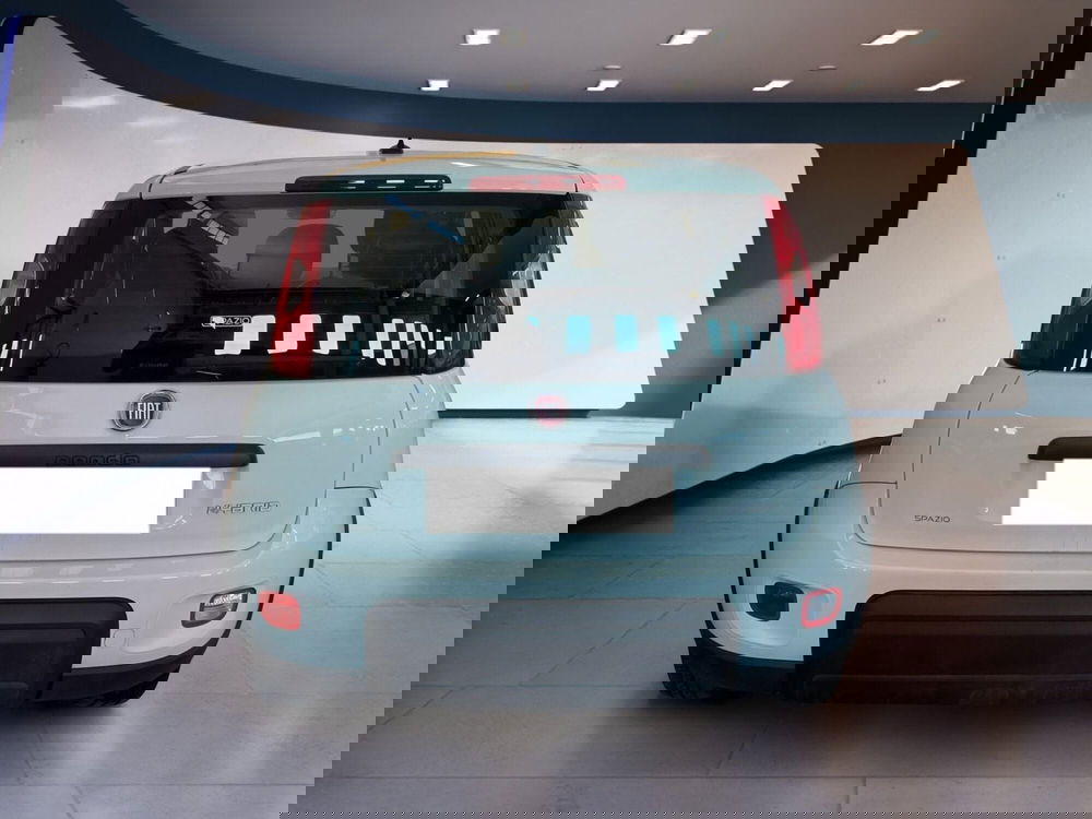 Fiat Panda Cross usata a Torino (5)