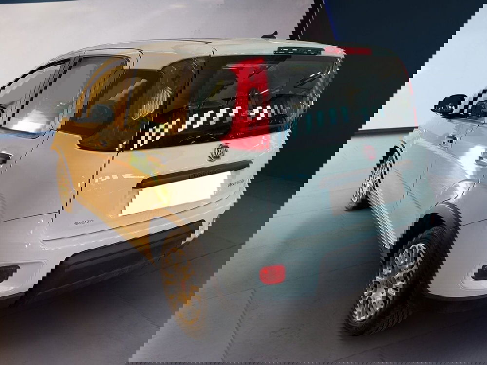 Fiat Panda Cross usata a Torino (6)