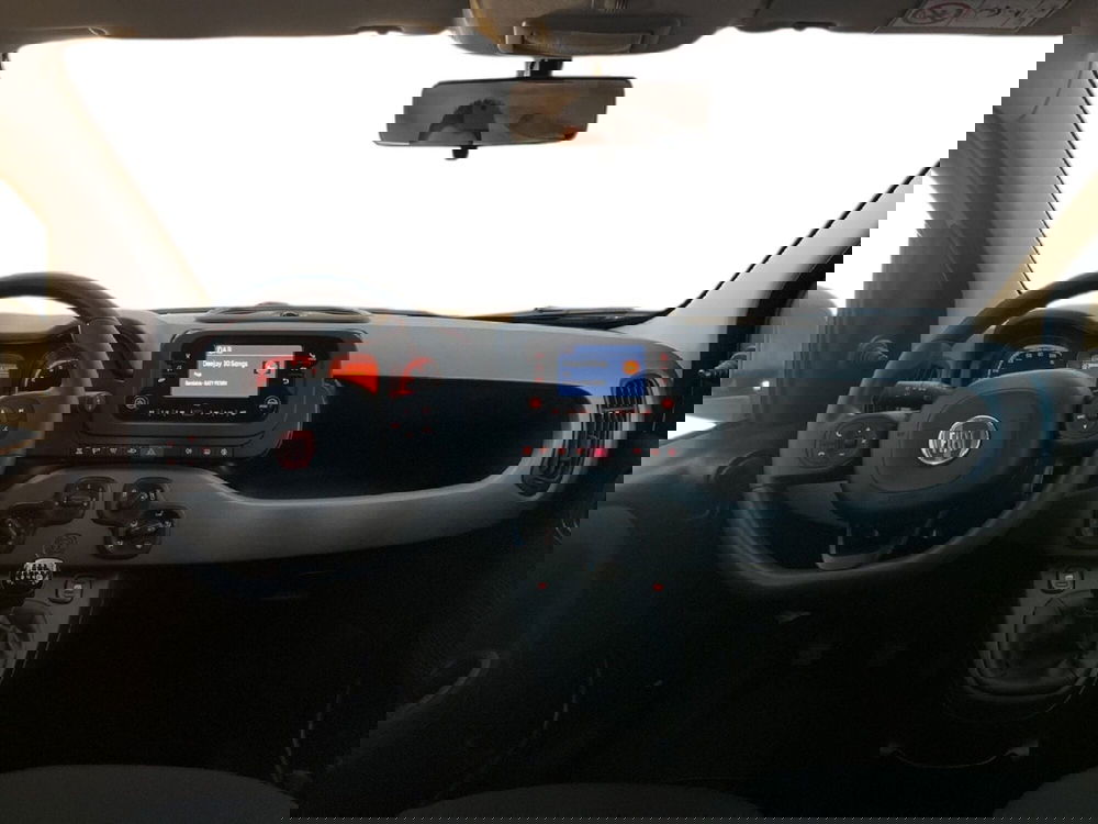 Fiat Panda Cross usata a Torino (9)