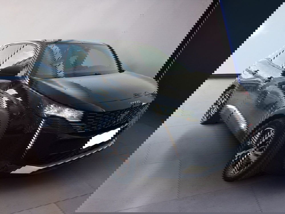 Peugeot 3008 usata a Torino (2)