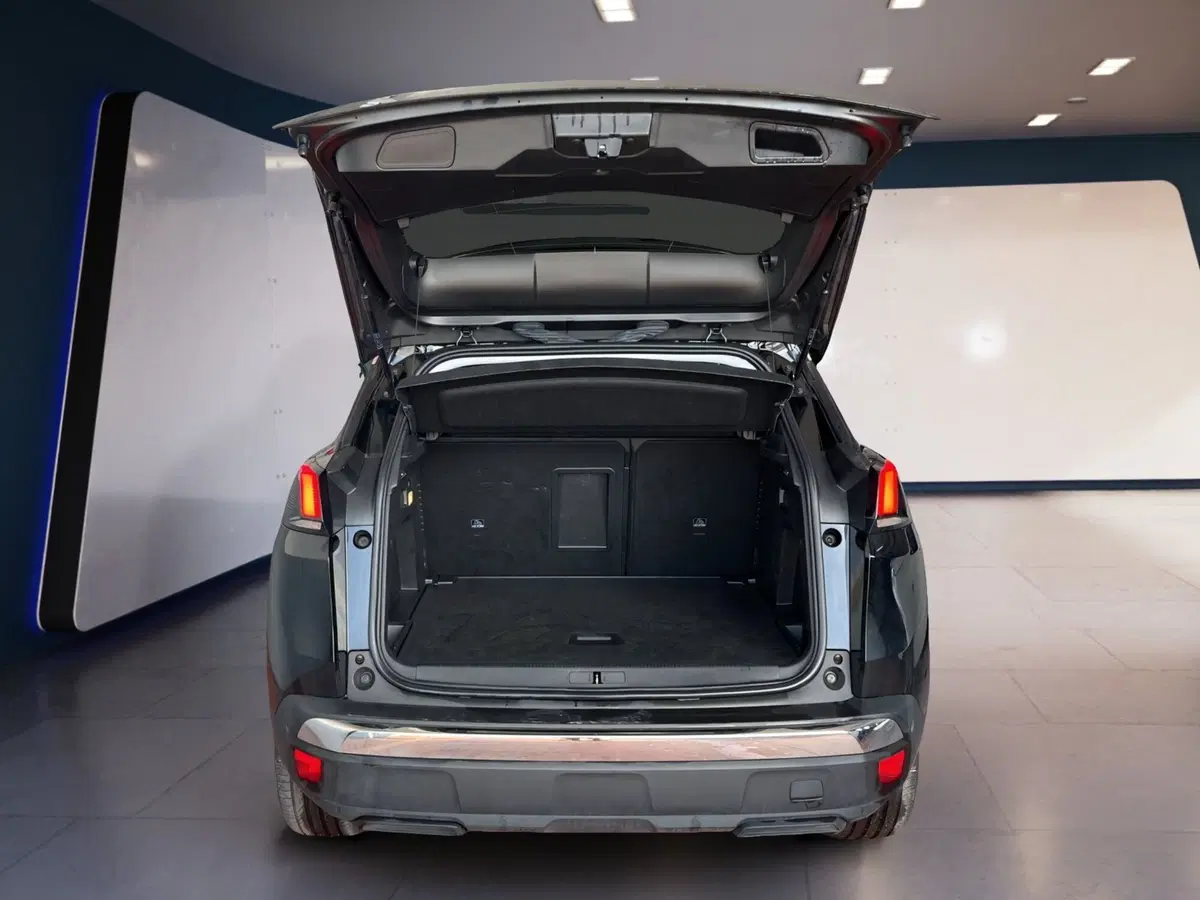 Peugeot 3008 usata a Torino (7)