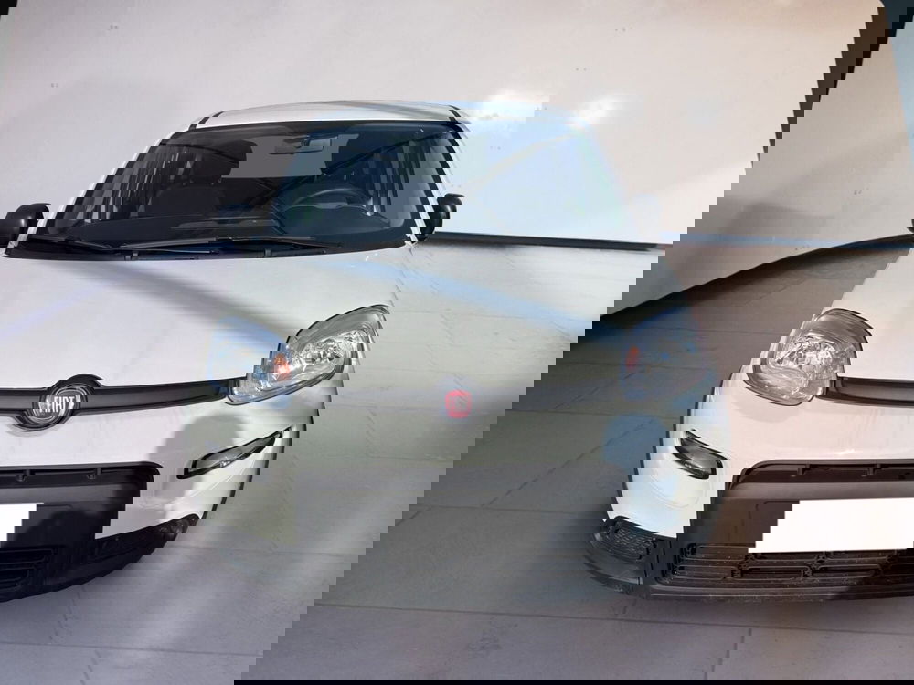 Fiat Panda Cross usata a Torino