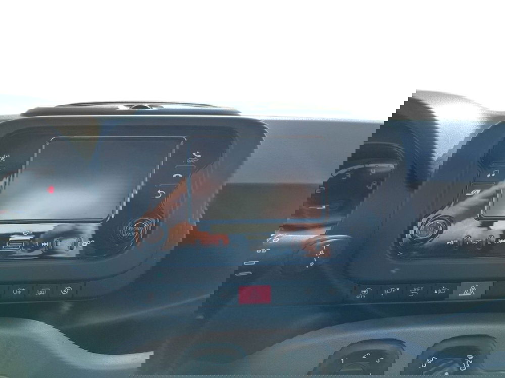 Fiat Panda Cross usata a Torino (13)