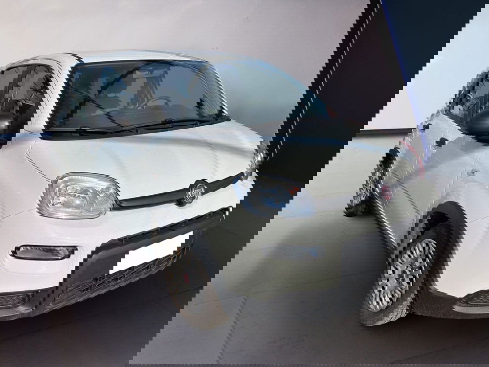 Fiat Panda Cross usata a Torino (2)