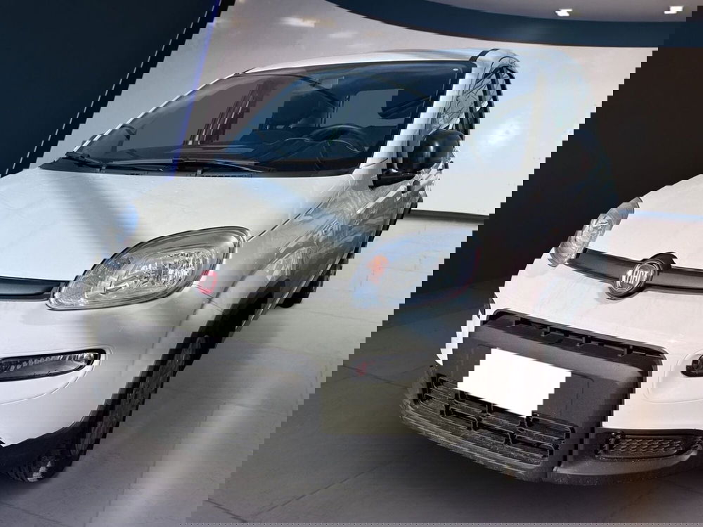 Fiat Panda Cross usata a Torino (3)