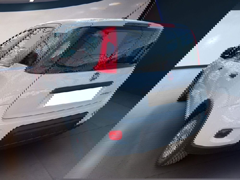 Fiat Panda Cross usata a Torino (4)