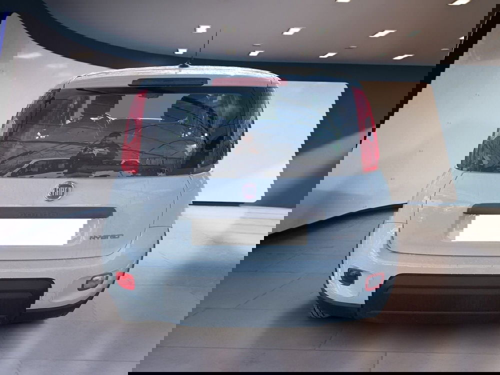 Fiat Panda Cross usata a Torino (5)