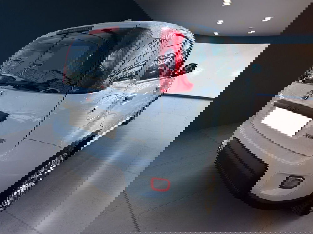 Fiat Panda Cross usata a Torino (6)