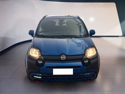 Fiat Panda 1.0 FireFly S&amp;S Hybrid City Cross del 2023 usata a Torino