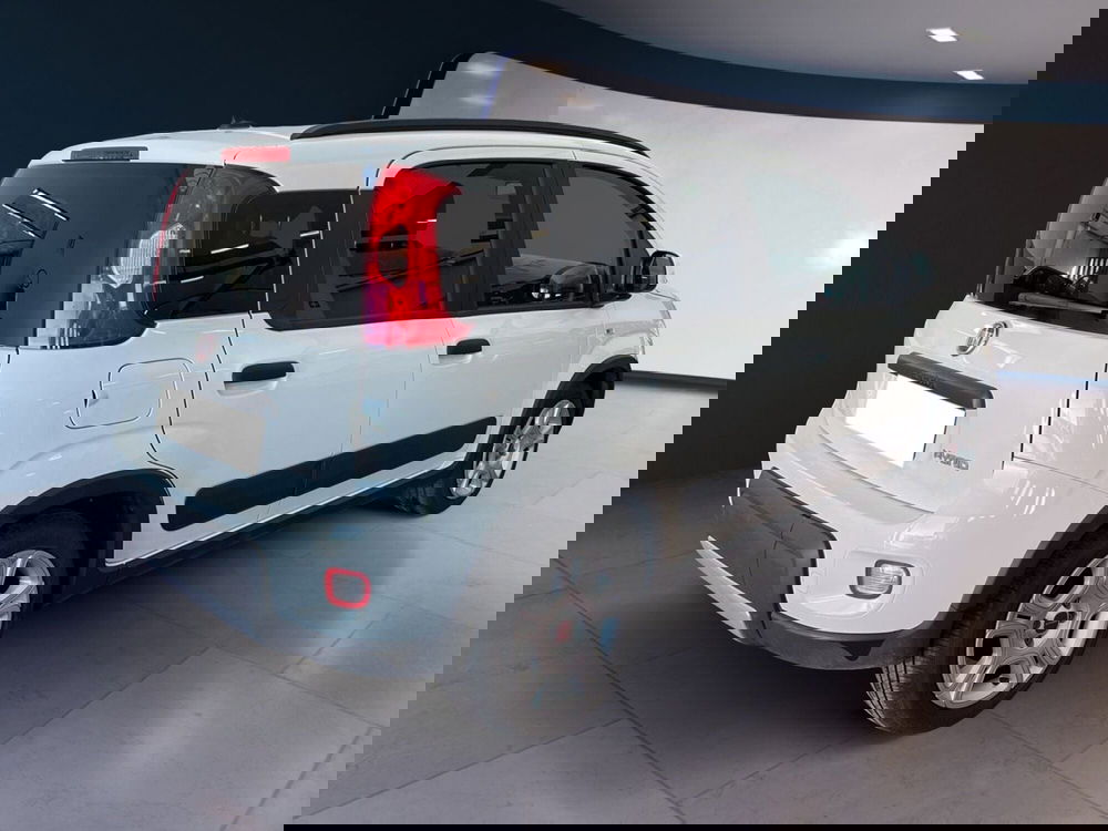 Fiat Panda usata a Torino (6)