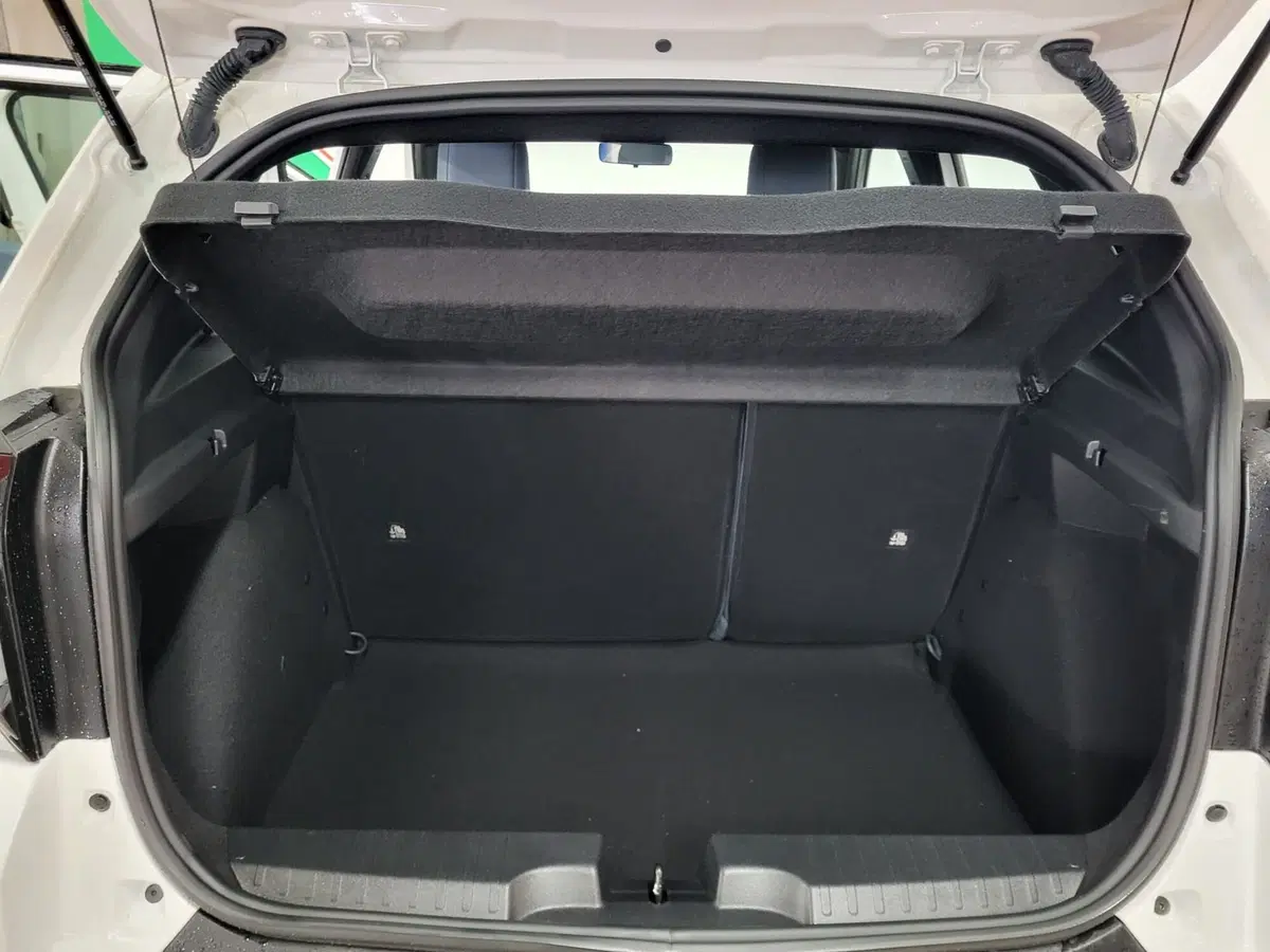 Fiat Grande Panda nuova a Arezzo (11)