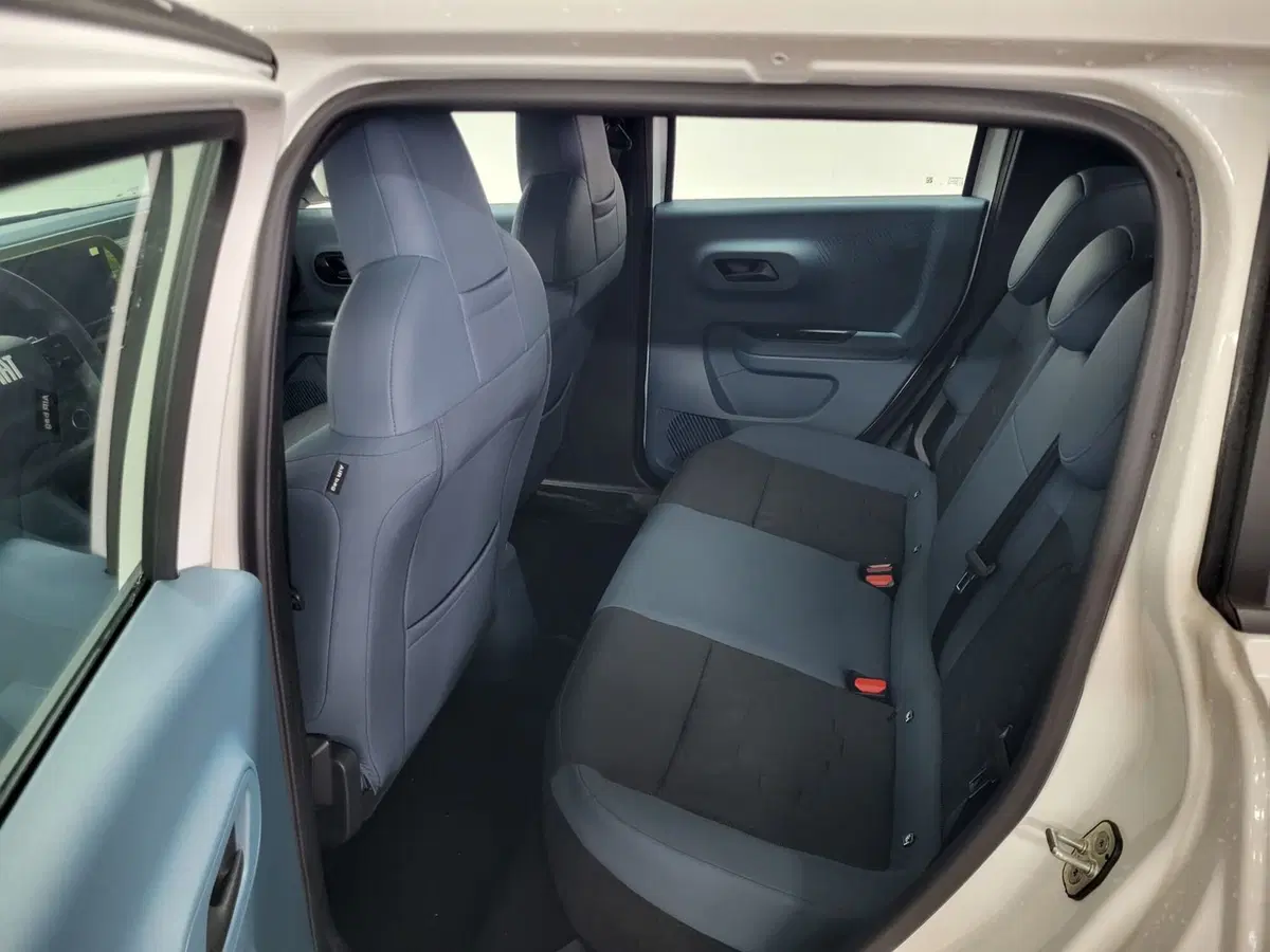Fiat Grande Panda nuova a Arezzo (16)