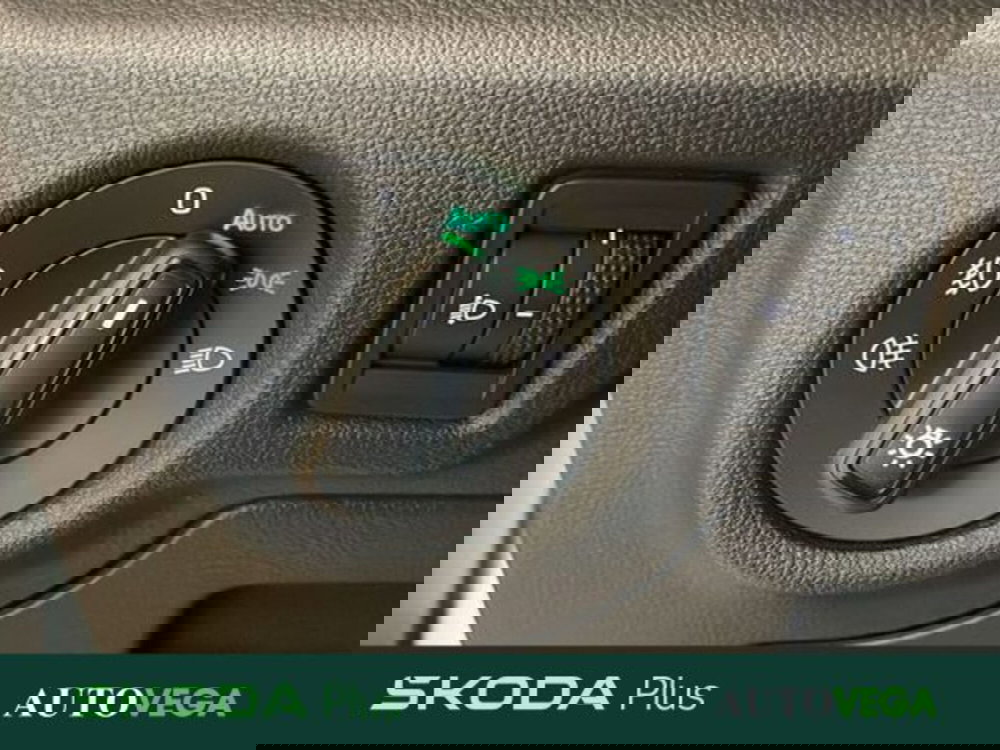 Skoda Kamiq usata a Vicenza (14)