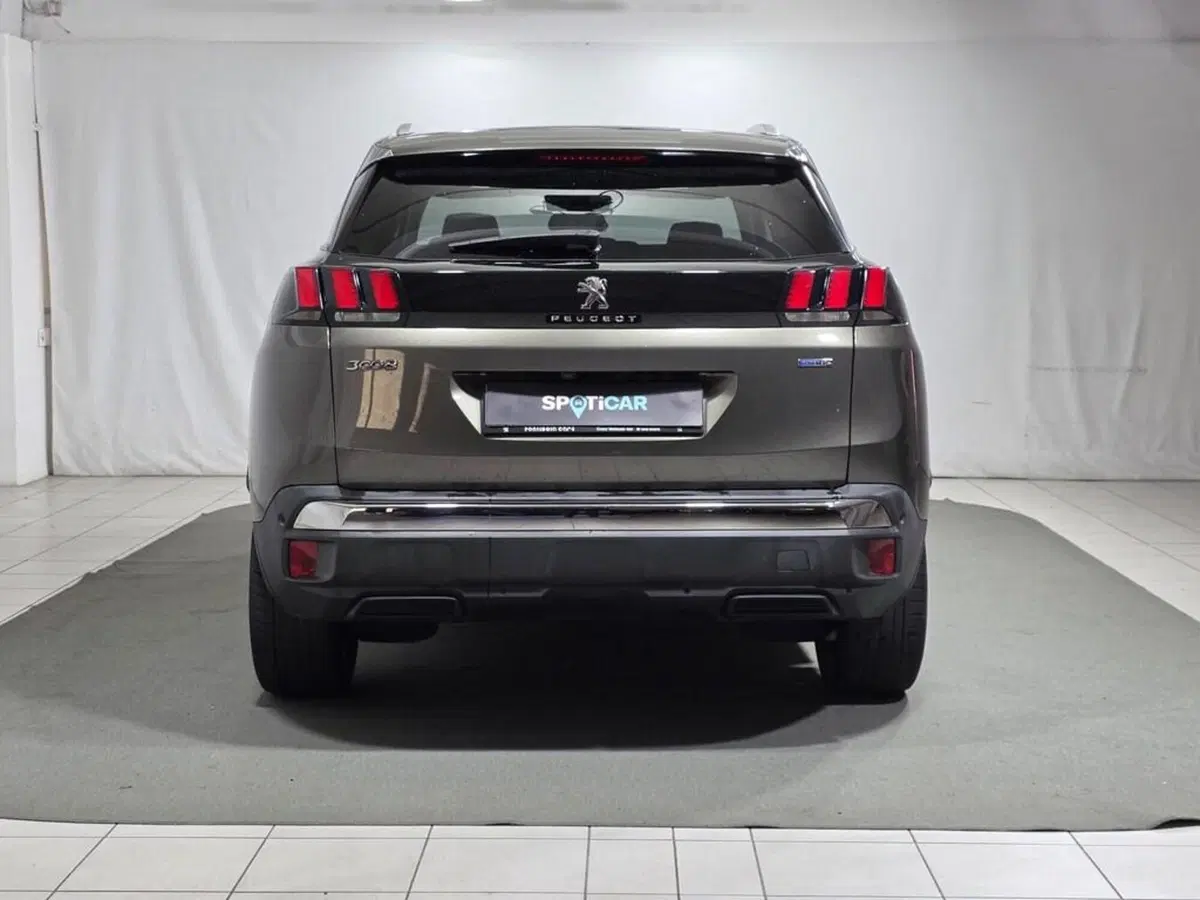 Peugeot 3008 usata a Sondrio (4)