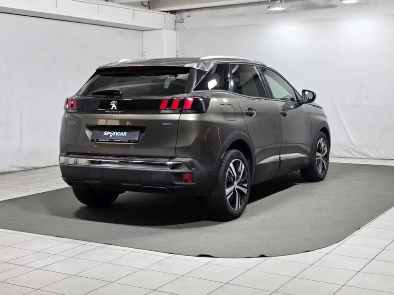 Peugeot 3008 usata a Sondrio (5)
