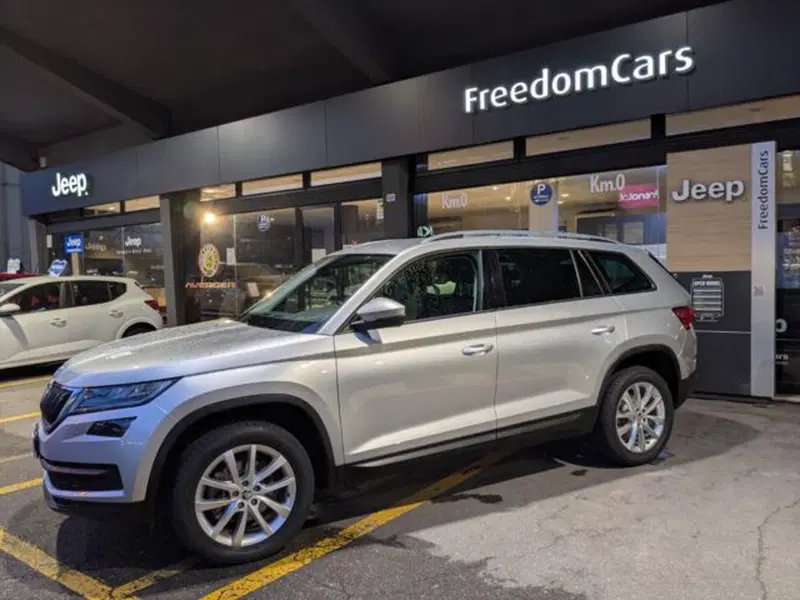 Skoda Kodiaq usata a Parma (3)
