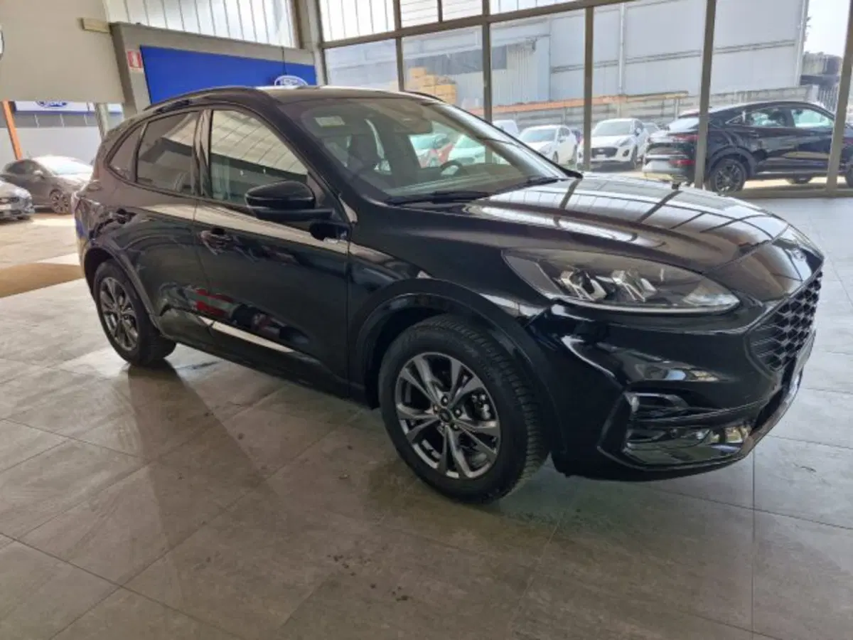 Ford Kuga usata a Bologna (7)