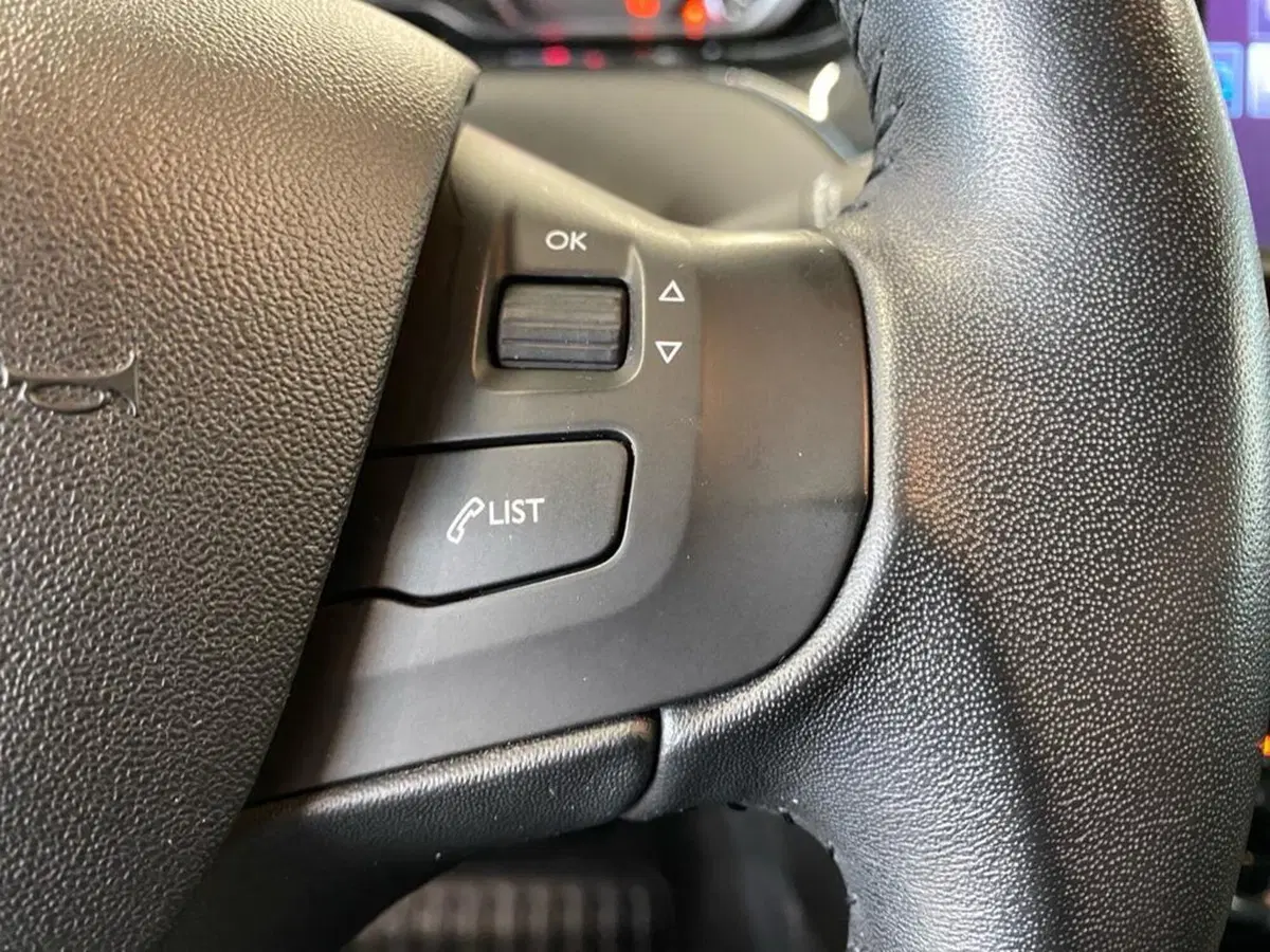 Peugeot 208 usata a Torino (13)