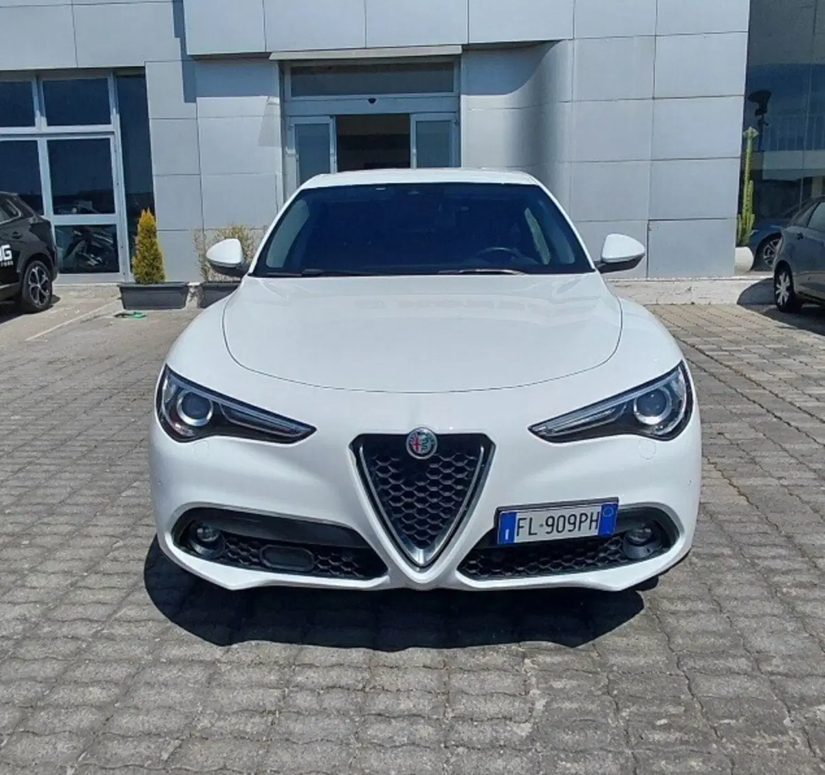 Alfa Romeo Stelvio usata a Cosenza (2)