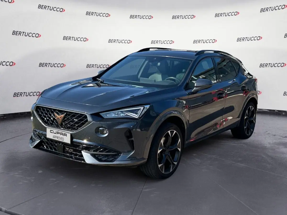 Cupra Formentor usata a Verona (2)