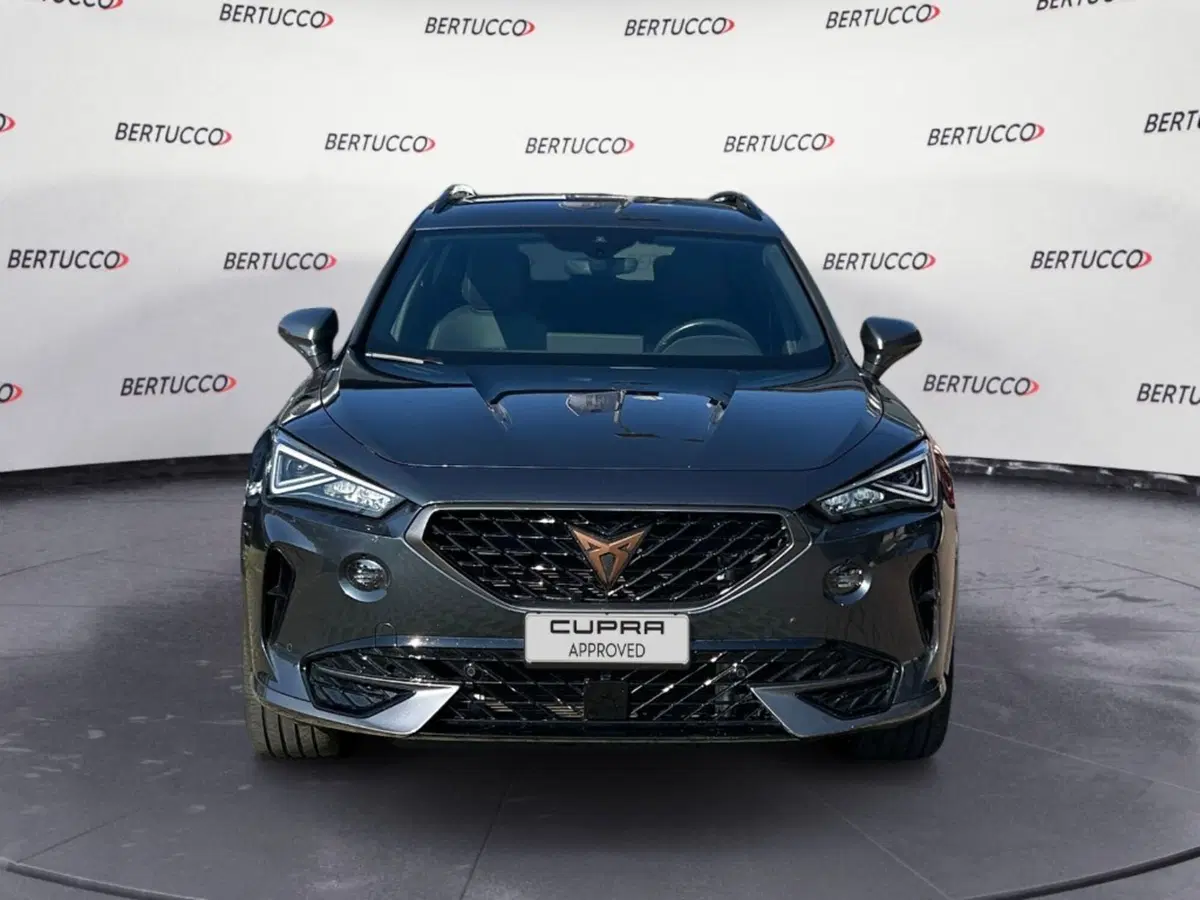 Cupra Formentor usata a Verona (5)