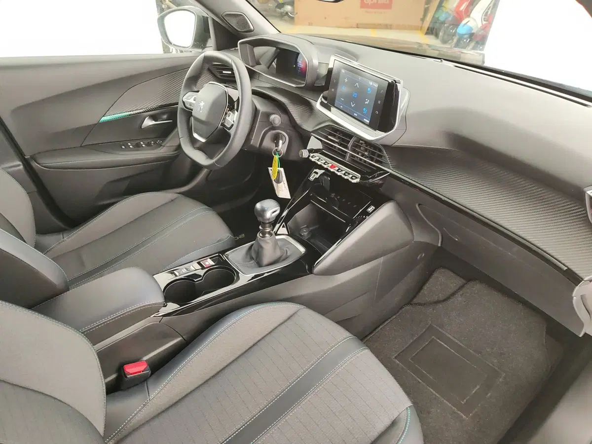 Peugeot 2008 usata a Ascoli Piceno (12)