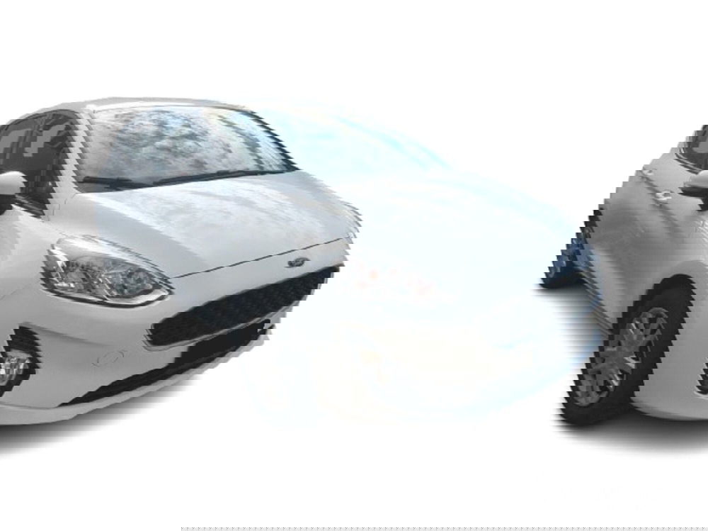 Ford Fiesta usata a Bari (2)