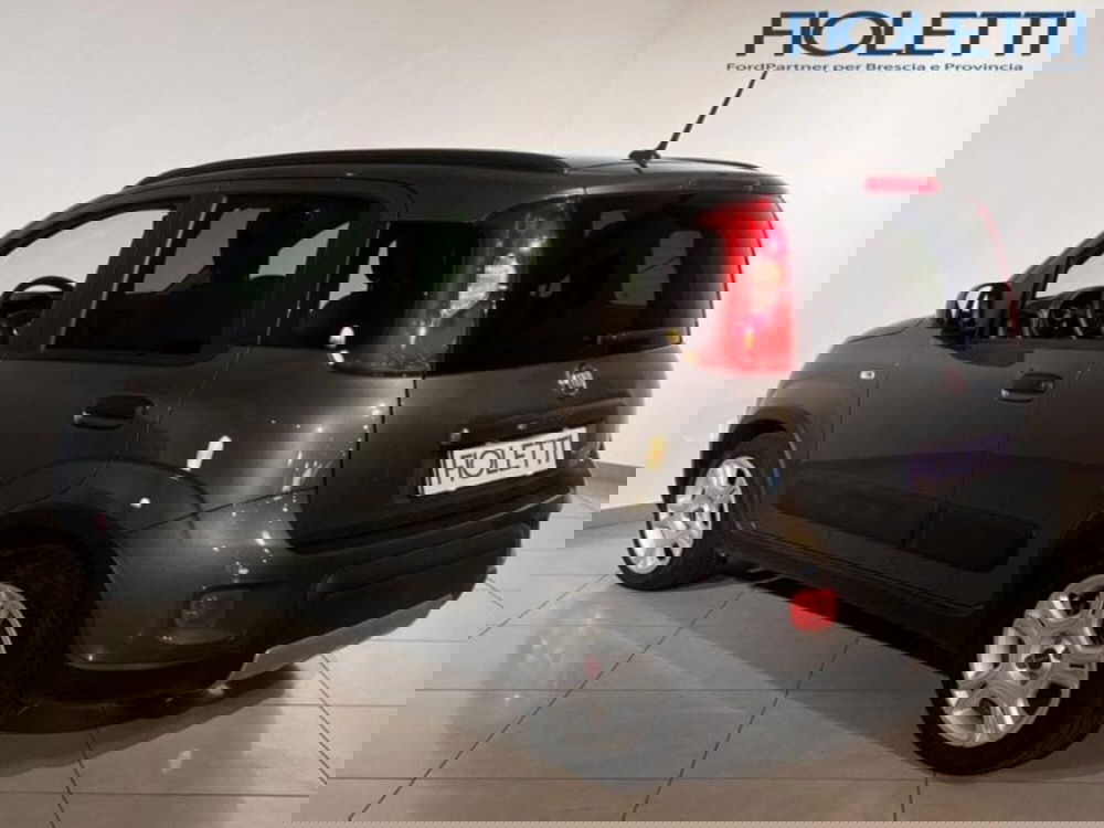 Fiat Panda Cross usata a Brescia (2)