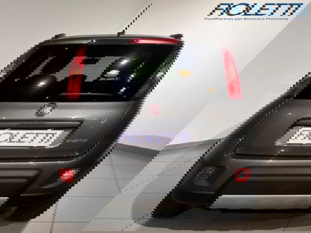 Fiat Panda Cross usata a Brescia (5)