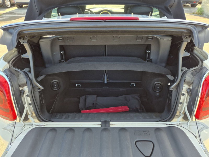 MINI Mini Cabrio usata  (12)