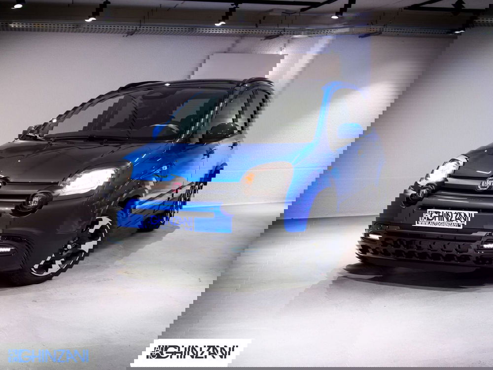 Fiat Panda Cross usata a Bergamo (2)