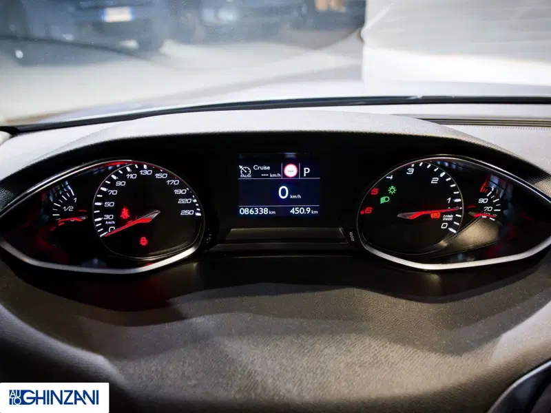 Peugeot 308 SW usata a Bergamo (14)