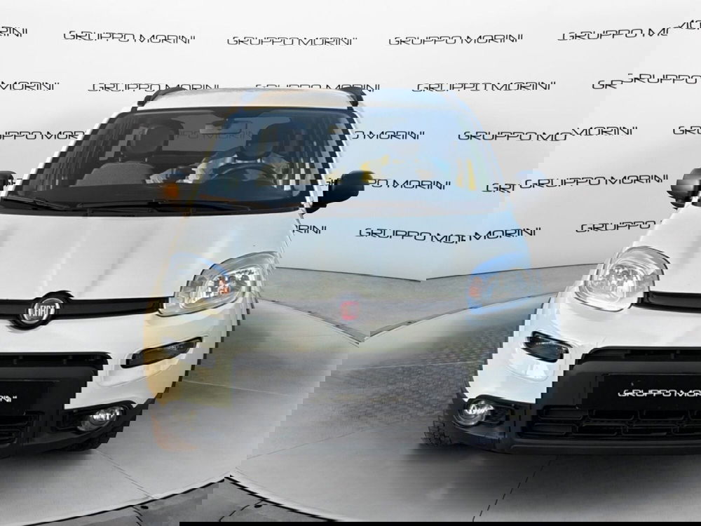 Fiat Panda usata a Bologna