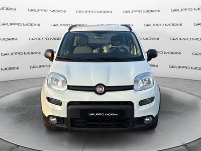Fiat Panda 1.2 EasyPower City Life del 2021 usata a Imola