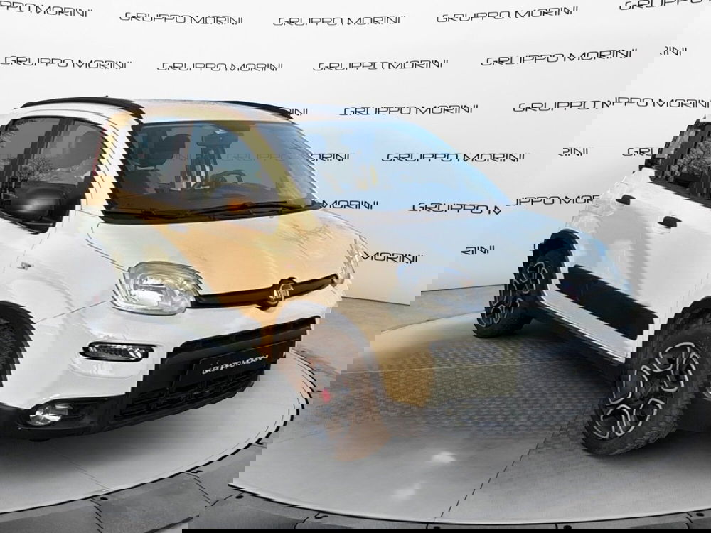 Fiat Panda usata a Bologna (2)